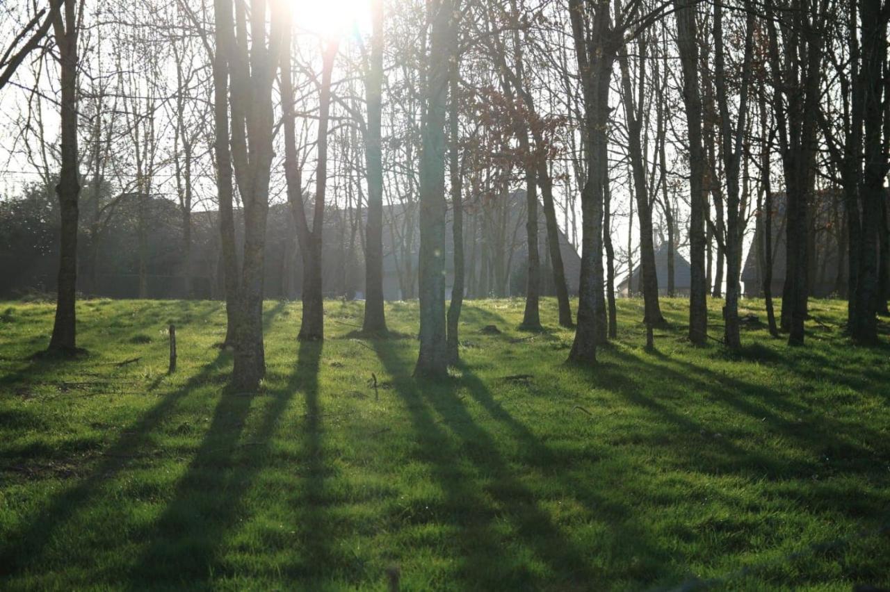 B&B Adem Horebeke Buitenkant foto